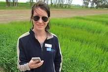 Person using smartphone in field